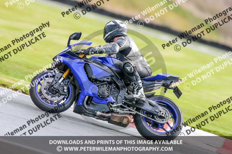 Oulton Park 14th March 2020;PJ Motorsport Photography 2020;anglesey;brands hatch;cadwell park;croft;donington park;enduro digital images;event digital images;eventdigitalimages;mallory;no limits;oulton park;peter wileman photography;racing digital images;silverstone;snetterton;trackday digital images;trackday photos;vmcc banbury run;welsh 2 day enduro